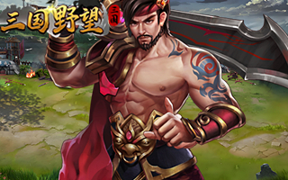 三国野望【1：10】